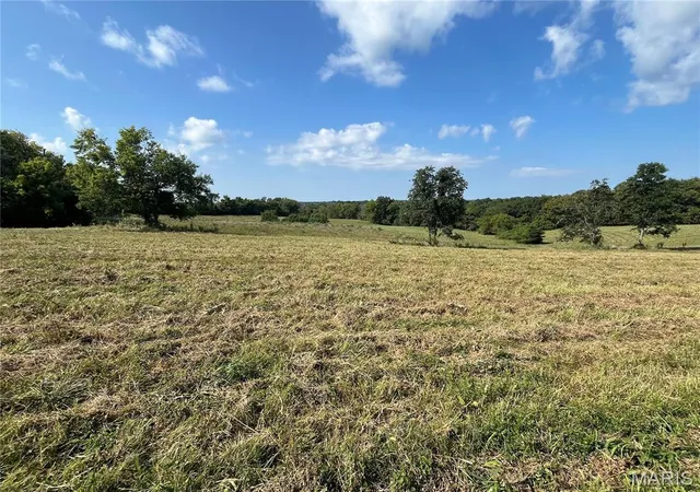 2nd image of 32 Autumn Ridge Dr, Elsberry, MO 63343 | MLS# MIS25077251