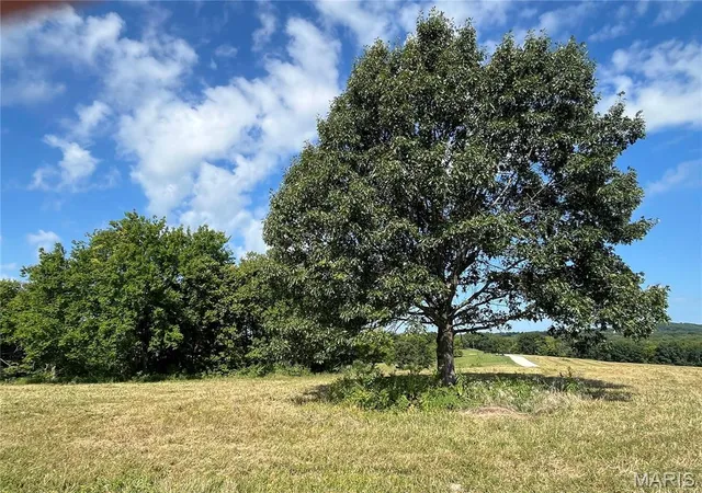 3rd image of 32 Autumn Ridge Dr, Elsberry, MO 63343 | MLS# MIS25077251