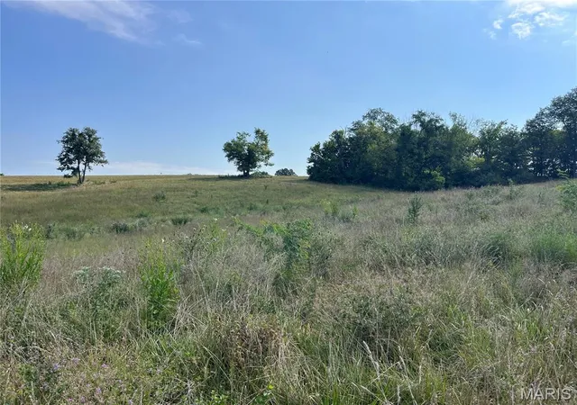 5th image of 32 Autumn Ridge Dr, Elsberry, MO 63343 | MLS# MIS25077251