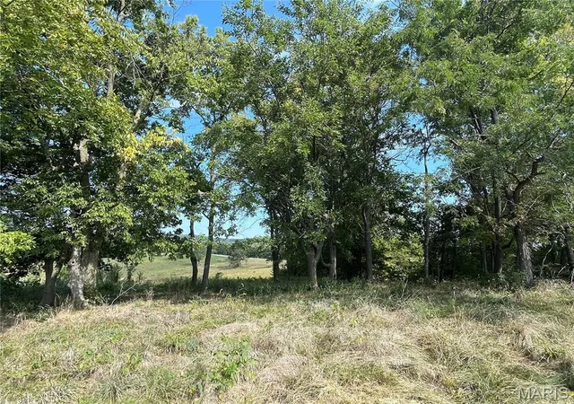 7th image of 32 Autumn Ridge Dr, Elsberry, MO 63343 | MLS# MIS25077251