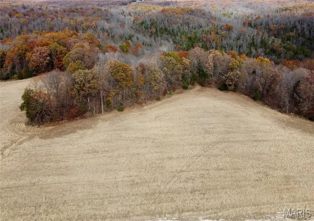 4th image of Tract 4 Polston Ln, Marthasville, MO 63357 | MLS# MIS25077449