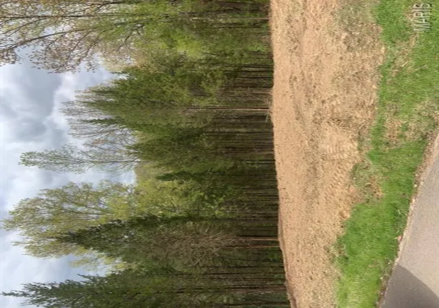 Photo 1 of Land for sale at 11524 Ten Point Ln, Festus, MO 63028 | MLS# MIS25077922 | Listing updated on 2026-09-04