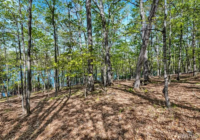 5th image of 2235 S Konstanz Dr, Wright City, MO 63390 | MLS# MIS25078587