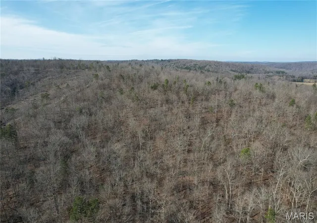 1st image of 10535 Hwy 67, Fredericktown, MO 63645 | MLS# MIS25079248