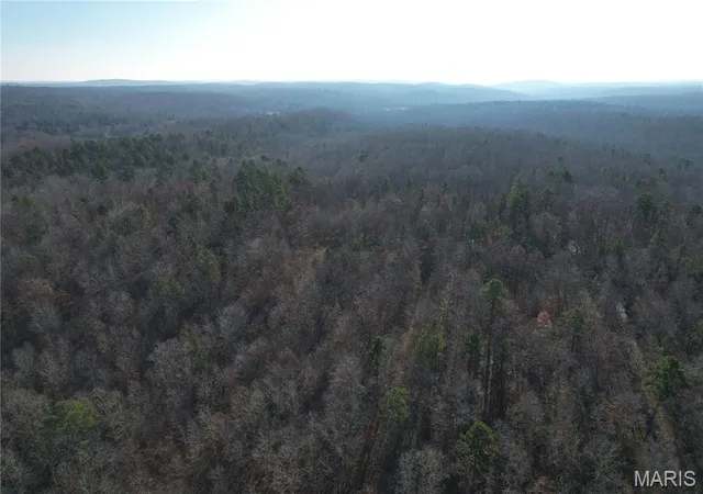 21st image of 10535 Hwy 67, Fredericktown, MO 63645 | MLS# MIS25079248