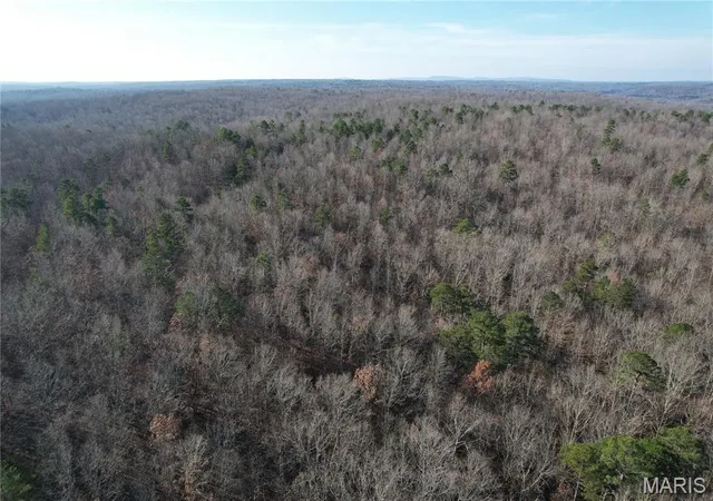 Photo 3 of Land for sale at 10535 Hwy 67, Fredericktown, MO 63645 | MLS# MIS25079248 | Listing updated on 2026-05-11