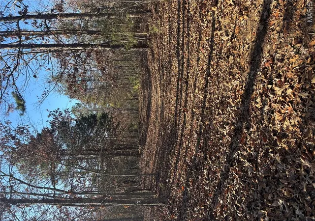 Photo 4 of Land for sale at 10535 Hwy 67, Fredericktown, MO 63645 | MLS# MIS25079248 | Listing updated on 2026-05-11