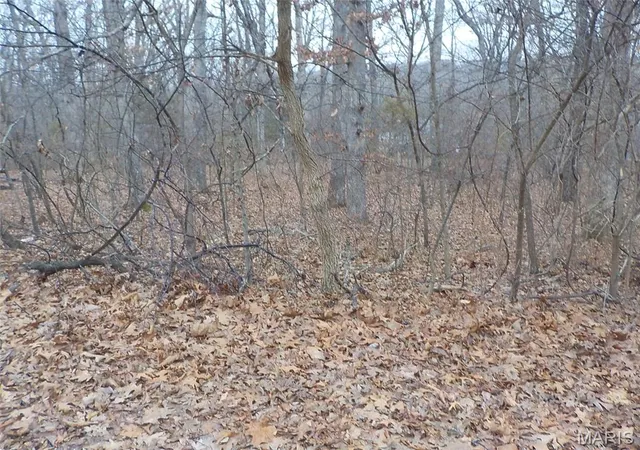 Photo 3 of Land for sale at 9712 Southwood Dr, Bonne Terre, MO 63628 | MLS# MIS25079385 | Listing updated on 2026-01-12