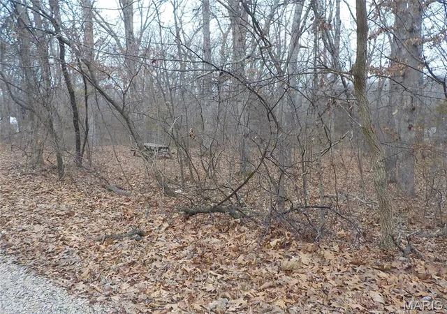 Photo 4 of Land for sale at 9712 Southwood Dr, Bonne Terre, MO 63628 | MLS# MIS25079385 | Listing updated on 2026-01-12