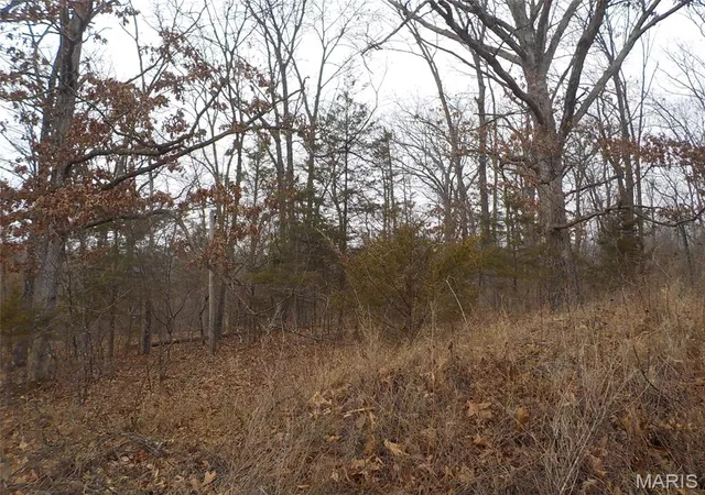 Photo 13 of Land for sale at 1977 Red Bud Dr, Bonne Terre, MO 63628 | MLS# MIS25079393 | Listing updated on 2026-01-12