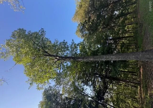 3rd image of 130 Steeple Point Dr Lot #12 Dr, Defiance, MO 63341 | MLS# MIS25080483
