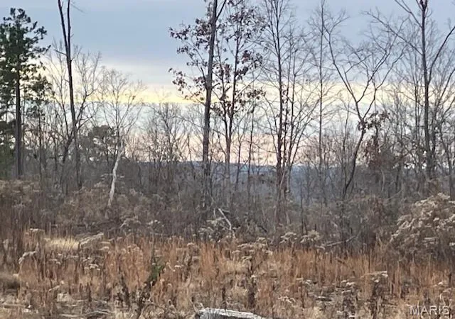 Photo 2 of Land for sale at 182 Madison Cr 410, Fredericktown, MO 63645 | MLS# MIS25081202 | Listing updated on 2025-12-16