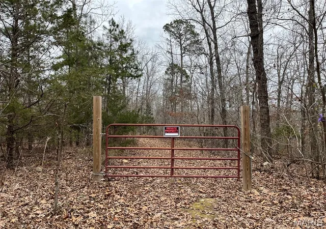 40th image of 0 Wayne 443, Piedmont, MO 63957 | MLS# MIS25081465