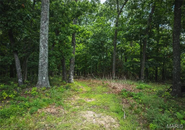 Photo 1 of Land for sale at 2 Trails End Trail, House Springs, MO 63051 | MLS# MIS25081791 | Listing updated on 2026-10-06