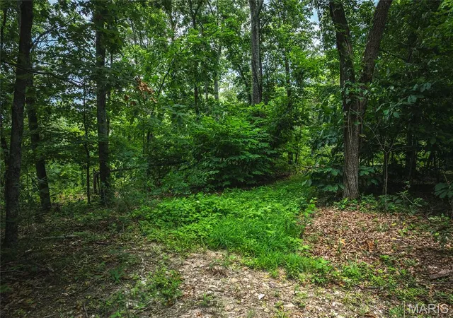 Photo 2 of Land for sale at 2 Trails End Trail, House Springs, MO 63051 | MLS# MIS25081791 | Listing updated on 2026-10-06
