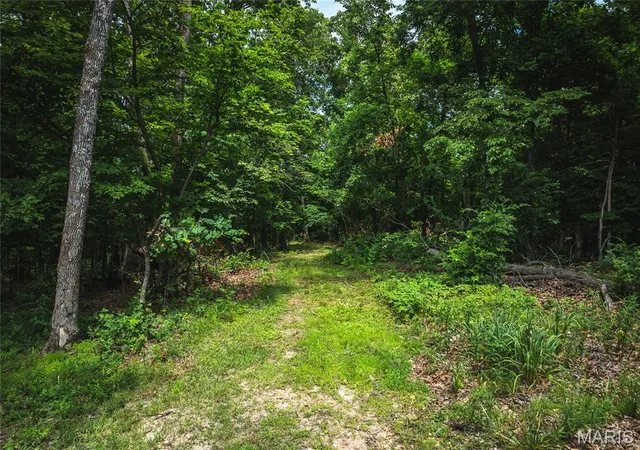 Photo 3 of Land for sale at 3 Trails Ends Trail, House Springs, MO 63051 | MLS# MIS25081799 | Listing updated on 2026-10-06