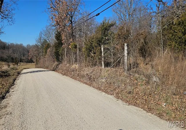 Homes for sale in Salem, MO | 0 County Road 4160, Salem, MO 65560 | MLS# MIS25082013