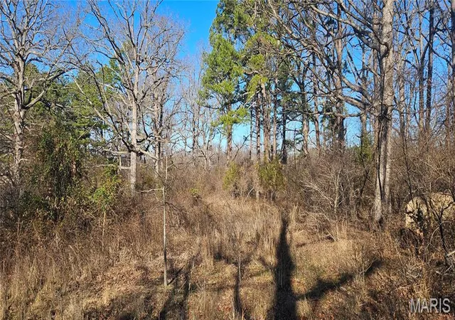 Homes for sale in Salem, MO | 0 County Road 4160, Salem, MO 65560 | MLS# MIS25082013