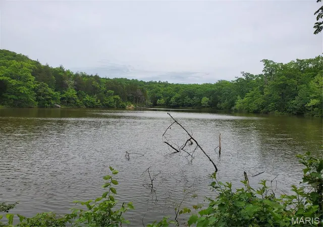 Photo 3 of Land for sale at 2151 Lake Park Trl, De Soto, MO 63020 | MLS# MIS25082086 | Listing updated on 2026-06-15
