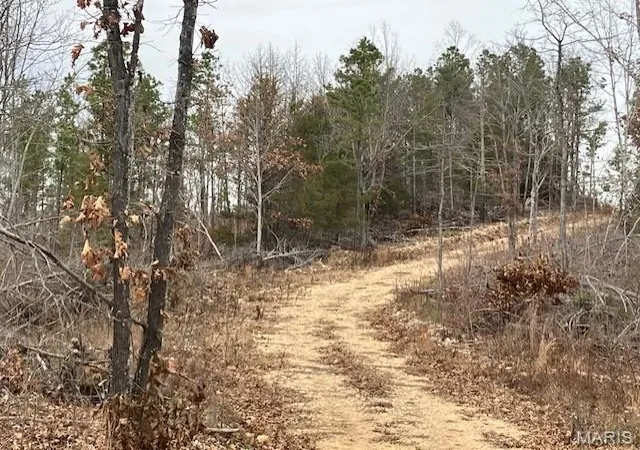 Photo 3 of Land for sale at 184 Madison Cr 410, Fredericktown, MO 63645 | MLS# MIS25082096 | Listing updated on 2025-12-22
