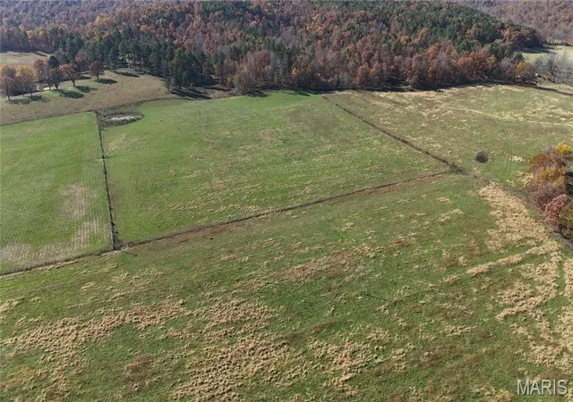 Homes for sale in Ellington, MO | 319 County Road 708A, Ellington, MO 63638 | MLS# MIS25082243