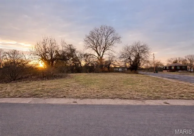 Photo 1 of Land for sale at 217 W 2nd St, Madison, IL 62060 | MLS# MIS25082525 | Listing updated on 2026-01-01