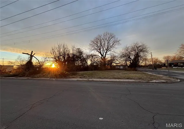 Photo 3 of Land for sale at 217 W 2Nd St, Madison, IL 62060 | MLS# MIS25082525 | Listing updated on 2026-01-01
