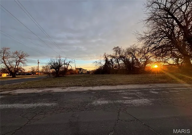Photo 4 of Land for sale at 217 W 2Nd St, Madison, IL 62060 | MLS# MIS25082525 | Listing updated on 2026-01-01