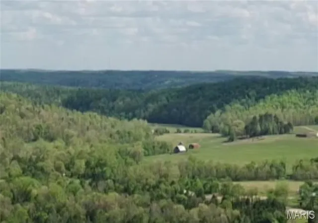 Homes for sale in Ellington, MO | Xxxx County Rd 700, Ellington, MO 63638 | MLS# MIS25082748