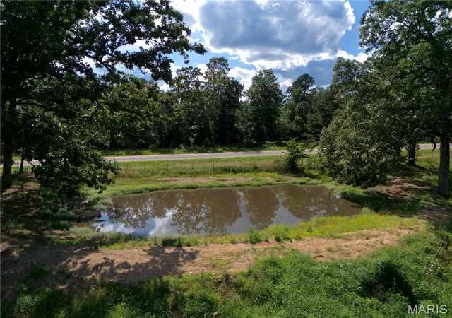 3rd image of 3378 State Hwy 21 S, Ellsinore, MO 63937 | MLS# MIS25082823