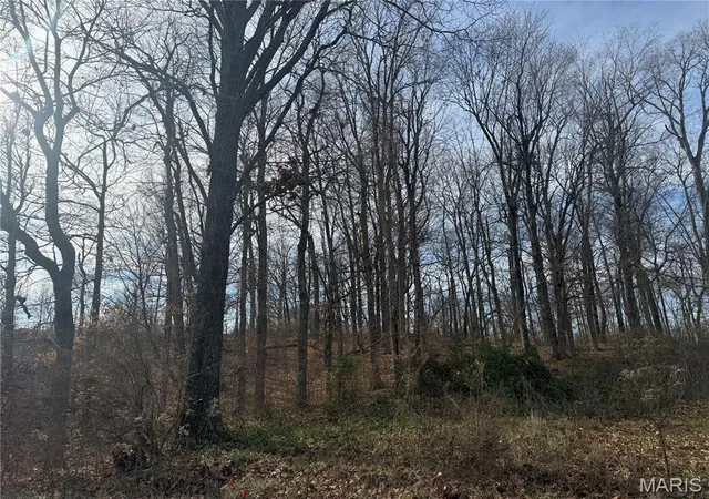 Photo 1 of Land for sale at 204 Stepping Stone Wy, Cape Girardeau, MO 63701 | MLS# MIS26000414 | Listing updated on 2026-01-06