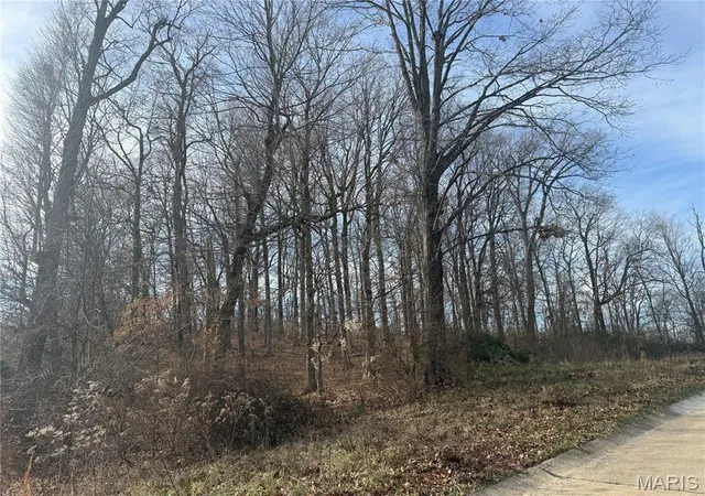 Photo 2 of Land for sale at 204 Stepping Stone Wy, Cape Girardeau, MO 63701 | MLS# MIS26000414 | Listing updated on 2026-01-06