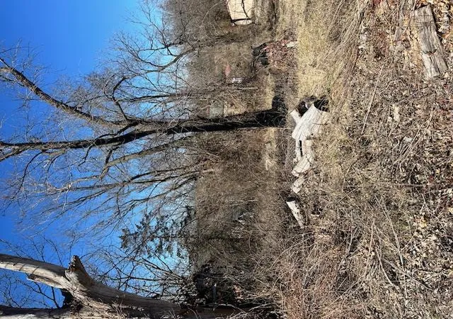 Photo 1 of Land for sale at 613 Main St, Leadwood, MO 63653 | MLS# MIS26001107 | Listing updated on 2026-08-29