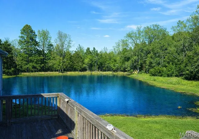 Homes for sale in Poplar Bluff, MO | 2184 J Bird Ln, Poplar Bluff, MO 63901 | MLS# MIS26001368