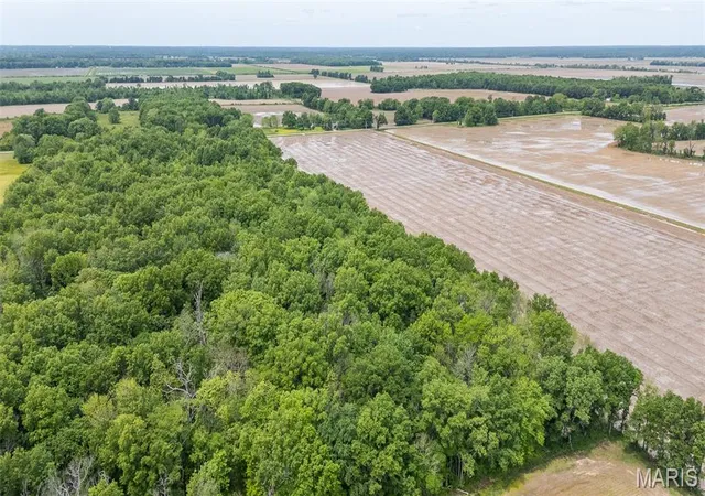 5th image of 258 Hwy Z, Poplar Bluff, MO 63901 | MLS# MIS26002501