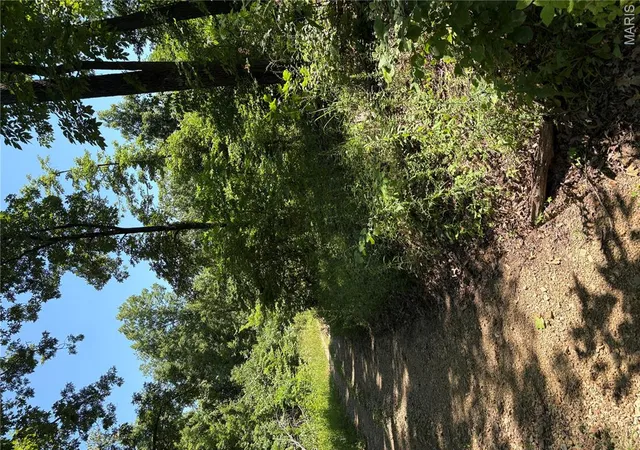 4th image of 511 A Wayne, Mc Gee, MO 63763 | MLS# MIS26002577