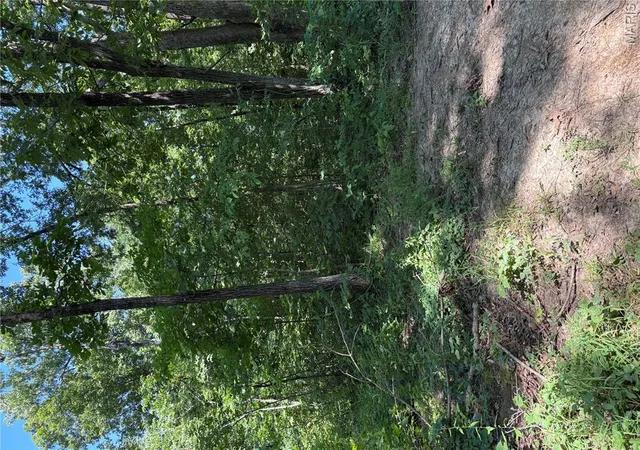5th image of 511 A Wayne, Mc Gee, MO 63763 | MLS# MIS26002577