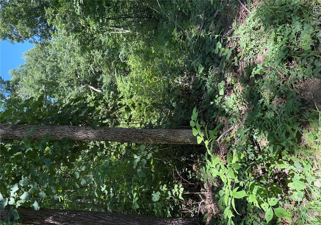 6th image of 511 A Wayne, Mc Gee, MO 63763 | MLS# MIS26002577