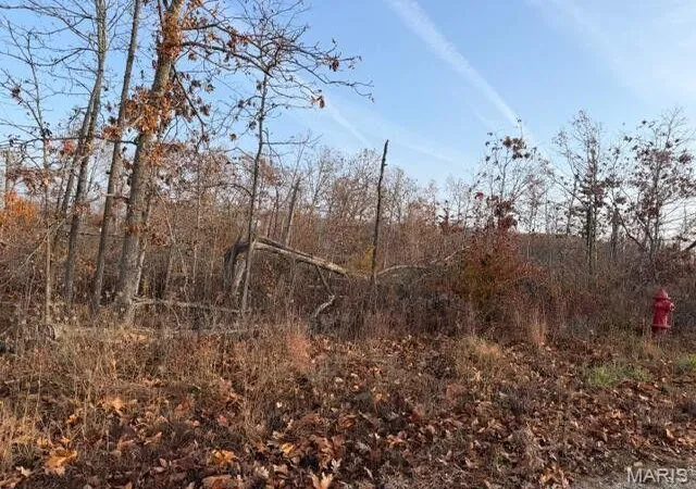 Homes for sale in Mountain View, MO | 0000 Fox Circle Dr Lot 12 Rd, Mountain View, MO 65548 | MLS# MIS26002729