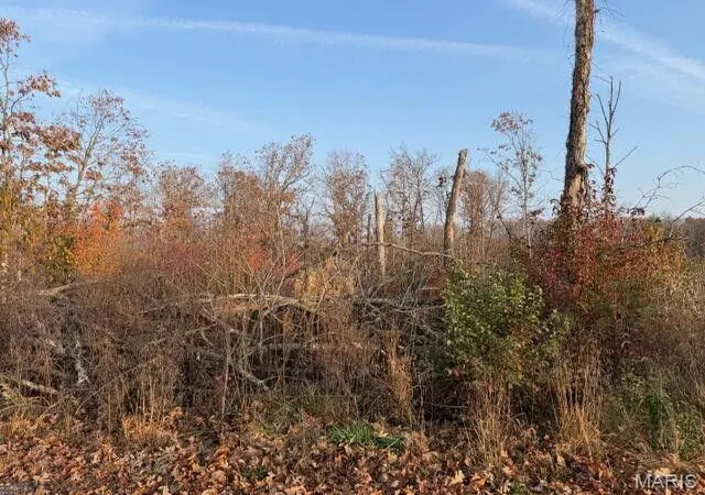 Homes for sale in Mountain View, MO | 0000 Fox Circle Dr Lot 12 Rd, Mountain View, MO 65548 | MLS# MIS26002729