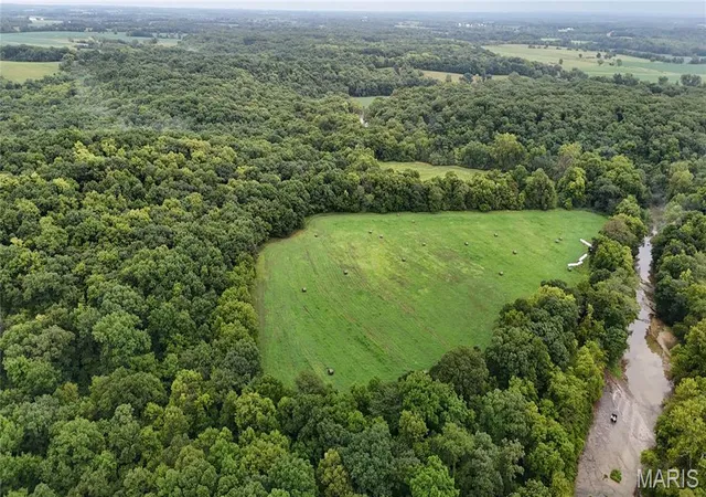 2nd image of 53+/  Acres Louisville Rd, Bowling Green, MO 63334 | MLS# MIS26002785