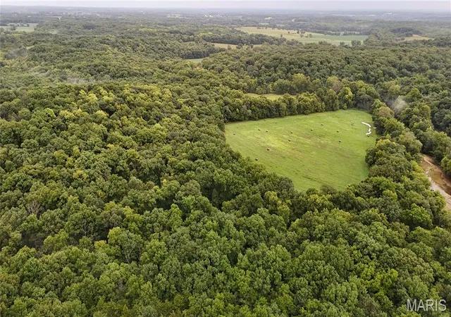 3rd image of 53+/- Acres Louisville Rd, Bowling Green, MO 63334 | MLS# MIS26002785