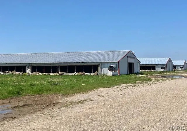 Photo 5 of Farm at 14525 Hwy Ww, Dudley, MO 63936 | MLS# MIS26002829 | | Sold on 2026-02-10