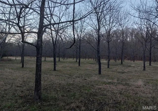 2nd image of 1100 Hattie Dr, Willow Springs, MO 65793 | MLS# MIS26002873
