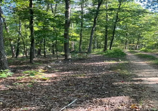 Photo 3 of Land for sale at 186 Madison Cr 410, Fredericktown, MO 63645 | MLS# MIS26003439 | Listing updated on 2026-01-20