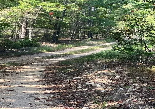 Photo 2 of Land for sale at 187 Madison Cr 410, Fredericktown, MO 63645 | MLS# MIS26003451 | Listing updated on 2026-01-20