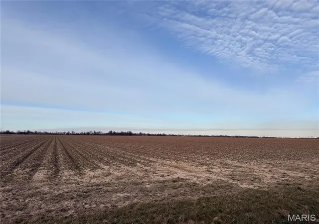 Homes for sale in Portageville, MO | 0 County Road 314, Portageville, MO 63873 | MLS# MIS26003490