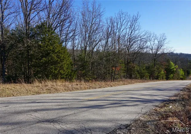 4th image of 0 State Route Y, Rolla, MO 65401 | MLS# MIS26003720