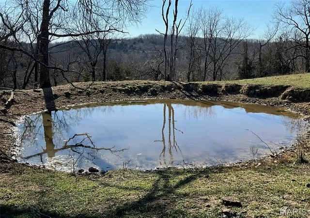Homes for sale in Thornfield, MO | 594 County Road 873, Thornfield, MO 65762 | MLS# MIS26003918