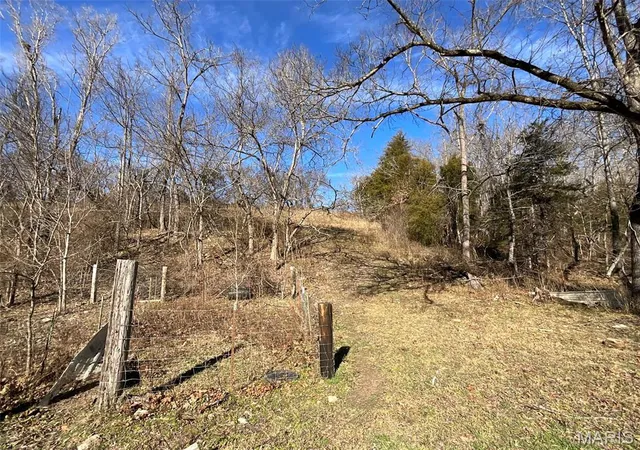 Homes for sale in Thornfield, MO | 594 County Road 873, Thornfield, MO 65762 | MLS# MIS26003918